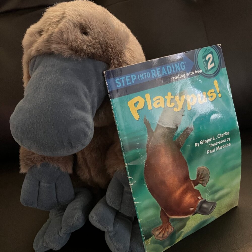 fluffy Platypus with book